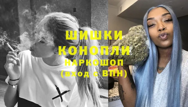 Каннабис OG Kush  Видное 